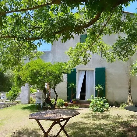 شقة 75m2 Avec Terrasse Et Jardin أجاكسيو